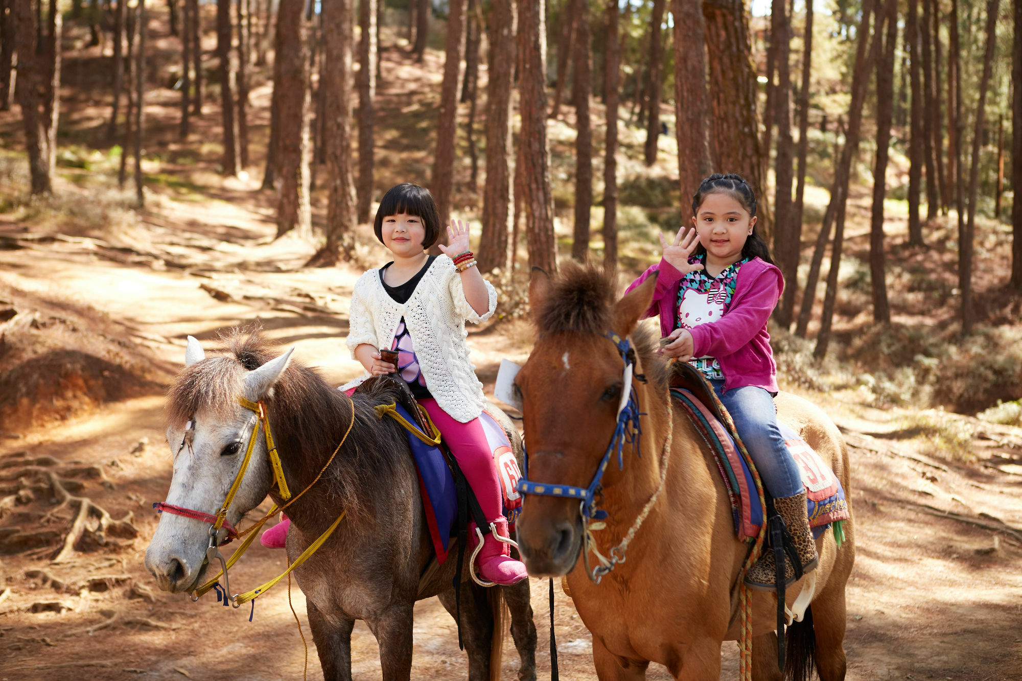 Hotel The Manor At Camp John Hay Baguio City Zewnętrze zdjęcie